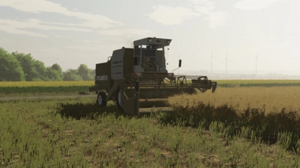 FS22 - Textures of Canola V1.0