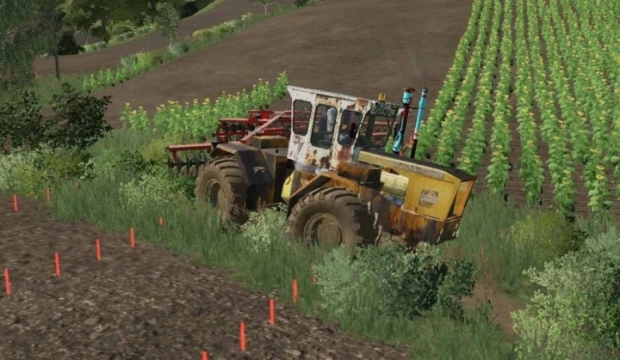 FS19 - Raba Steiger 250 Mezogep Sajat V1.0