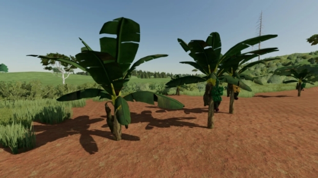 FS22 - Banana Tree V1.0