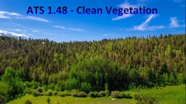 ATS - Clean Vegetation V1.0.1b