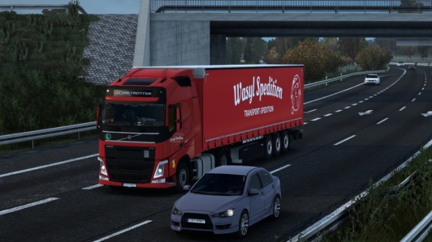 ETS2 - Wasyl Spedition Paint Jobs Pack V1.0