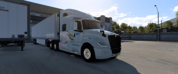 ATS - International Swift Skin