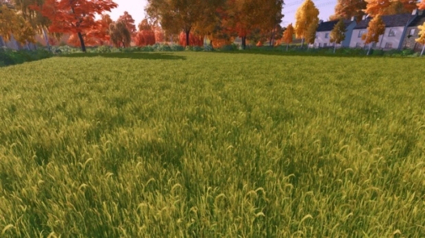 FS22 - Grass Texture V1.0
