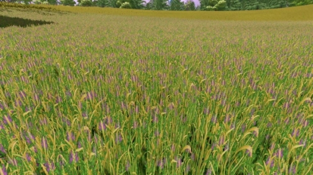 FS22 - Grass Texture with Alfalfa V1.0