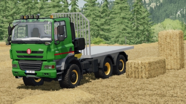 FS22 - Tatra Phoenix Flatbed/Salt Truck V1.0