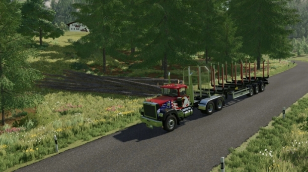 FS22 - Wood Loader V2.0