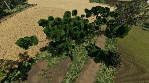 FS22 - Araucarias V1.0