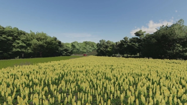 FS22 - Cembrowina Map V1.0.0.7