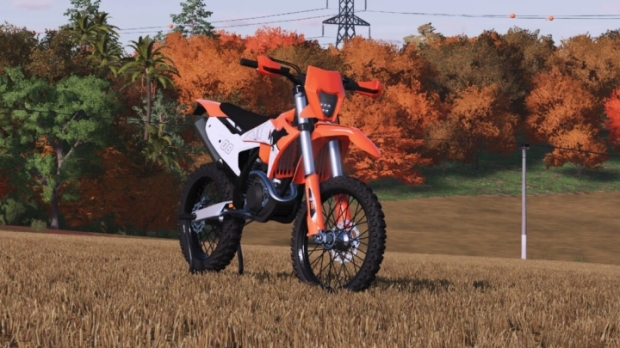 FS22 - Lizard 350 EXC F V1.0
