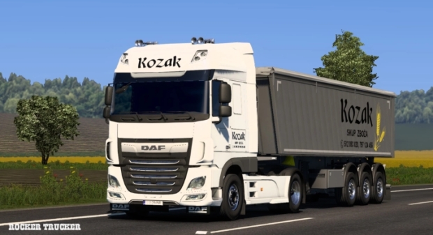 ETS2 - Skup Zboza Kozak Skin Pack V1.0