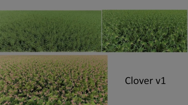 FS22 - Clover and Alfalfa Texture V1.0.0.1