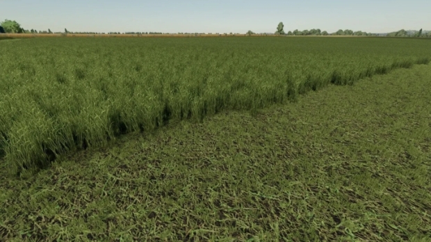 FS22 - Grass Texture V1.0