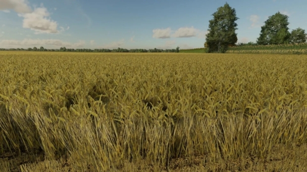 FS22 - Wheat Texture V1.0.0.1