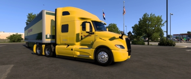 ATS - LT Skin Sky Ryse Cab My Flower