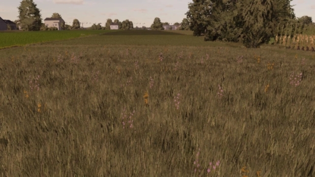 FS22 - Meadow Texture V1.0