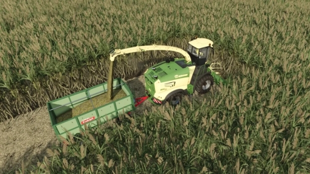 FS25 - Collect 900 For Sugarcane And Poplar V1.0