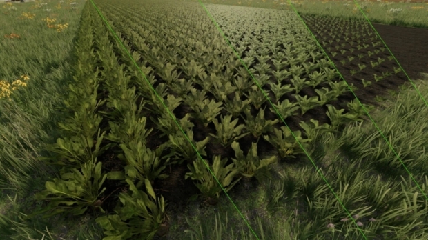 FS25 - Grow Now V1.0