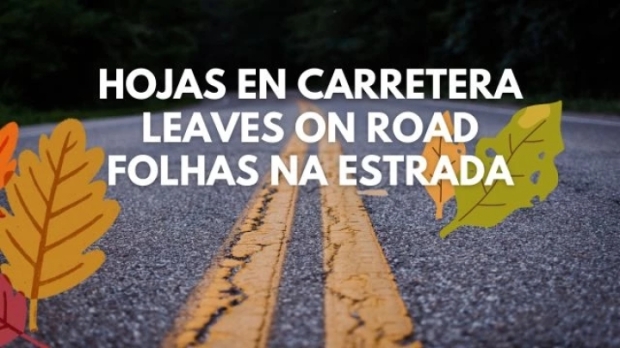 ETS2 - Leaves on the Road