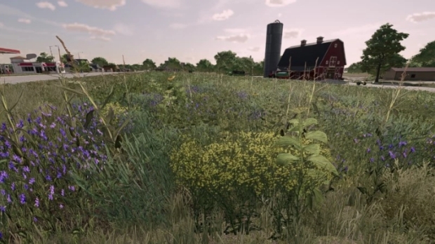 FS22 - New Oil Radish V1.0