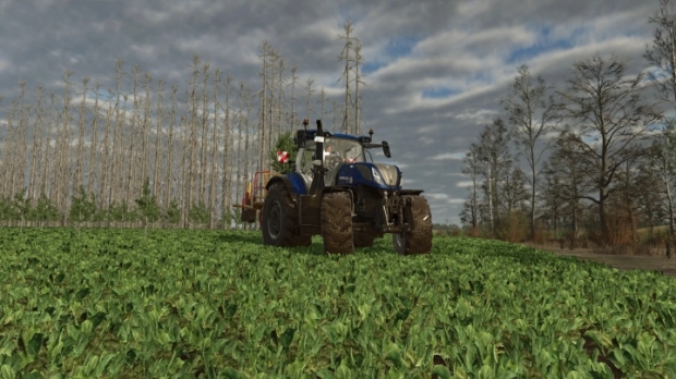 FS25 - No Tree Limit V1.0