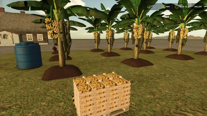 FS25 - Banana Plantation V1.0