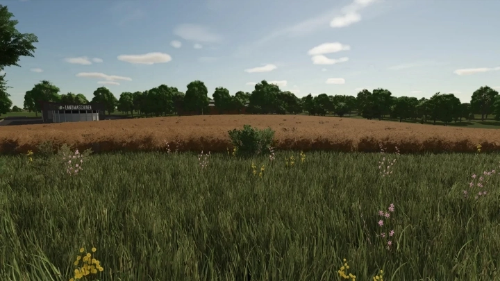 FS25 - FrechDachs Map 4fach V1.0