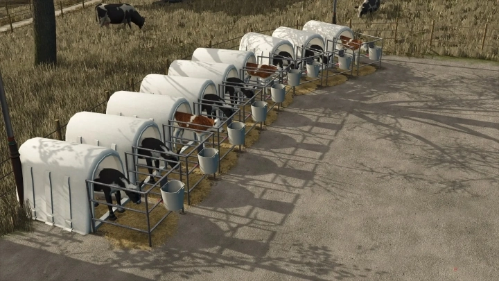 FS25 - Kaelberiglu Purely Fictitious V1.0