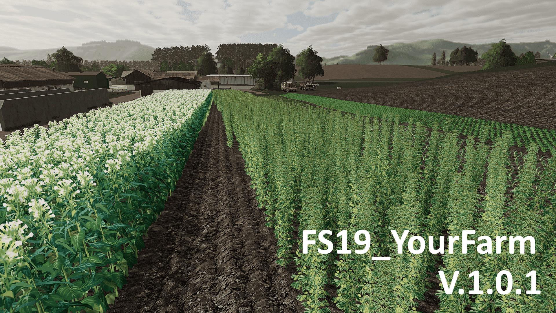 FS19 - YourFarm Map v1.0.1