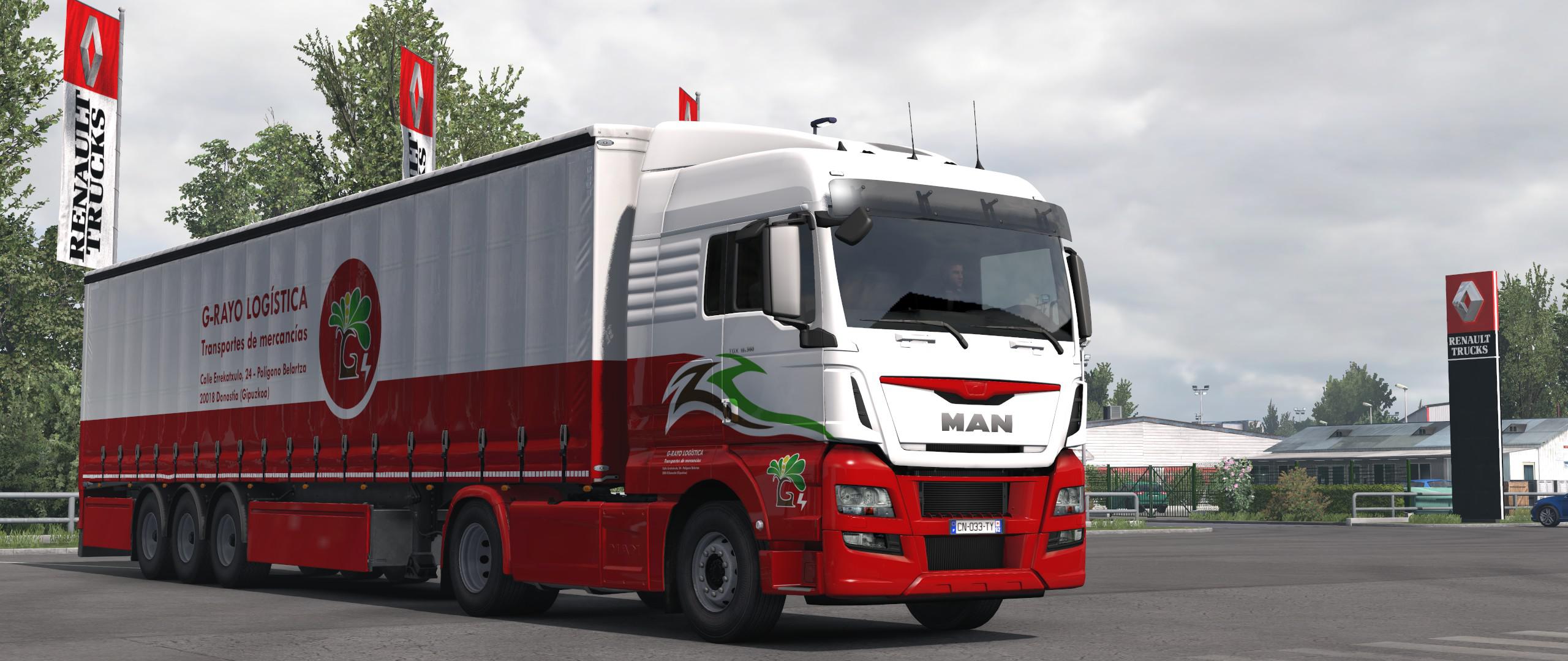 ETS2 - G-Rayo Logistica Skin V1.0 (1.39.x)