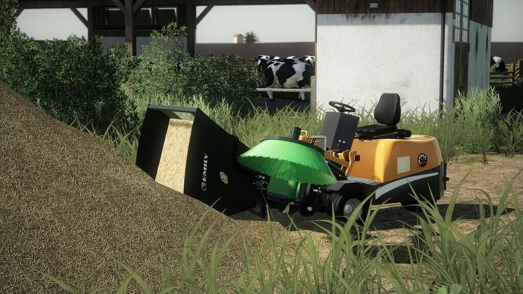 FS19 - Emily AM 317 V1.0.0.2