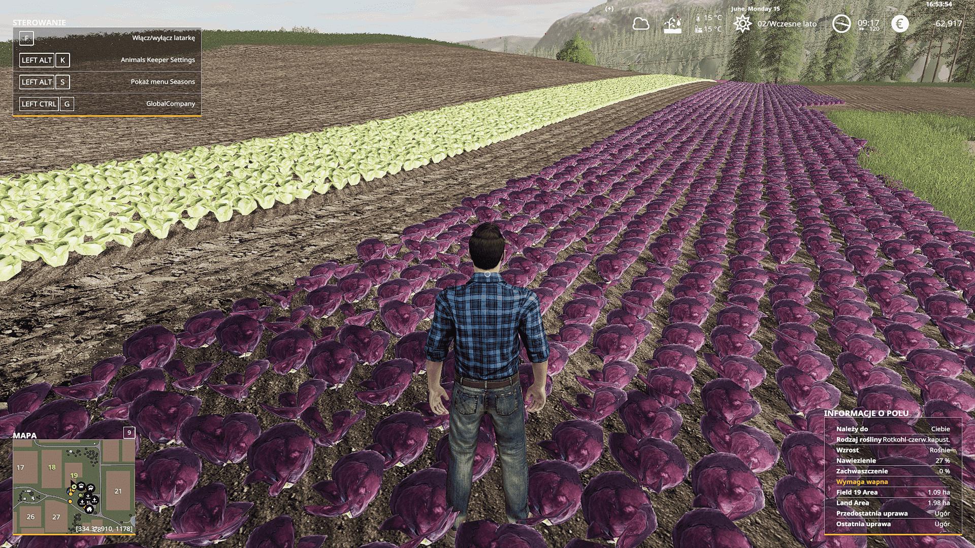 FS19 - YourFarm Map V2.0 Final