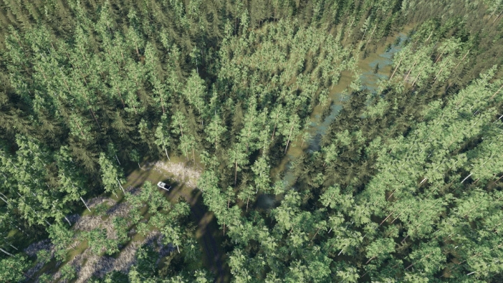FS19 - Conifer Trees (Prefab) V1.0