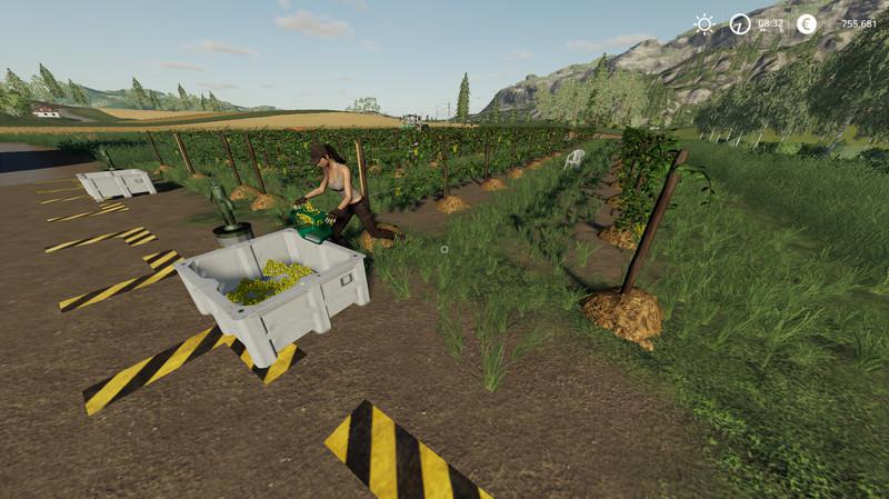 FS19 - Vineyard V1.0