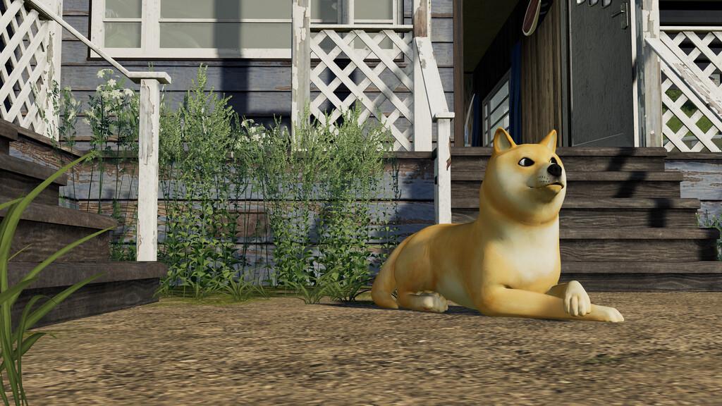 FS19 - Doge Coin Dog V1.0