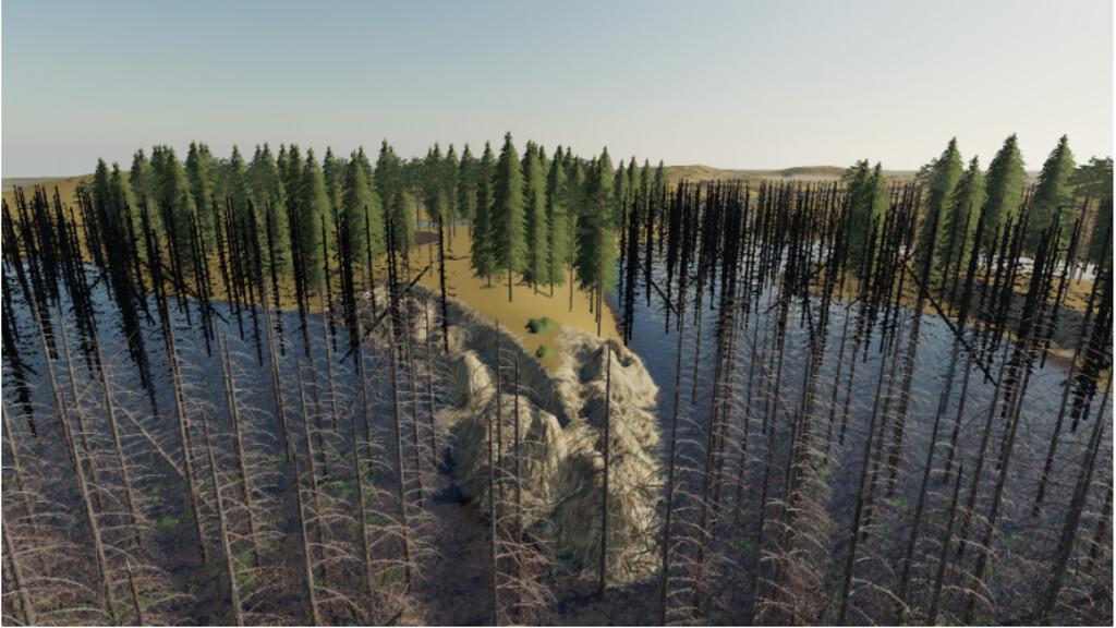 FS19 - Daylight In The Swamp V1.0