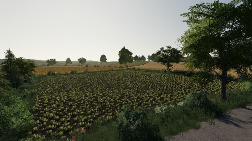 FS19 - Wola Zabierzowska Map V1.0.0.1