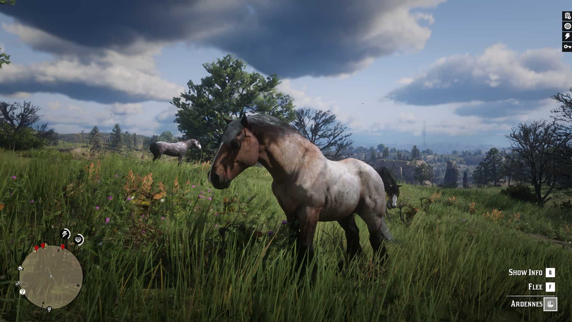 RDR2 - Online Horses