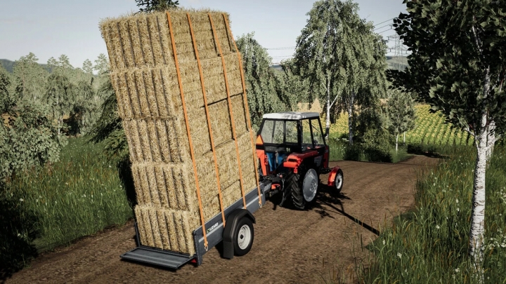 FS19 - Lizard Car Trailer V1.3