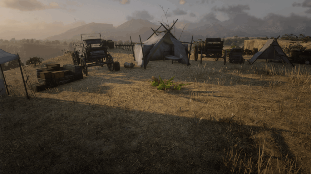 Rdr2 Camp Map