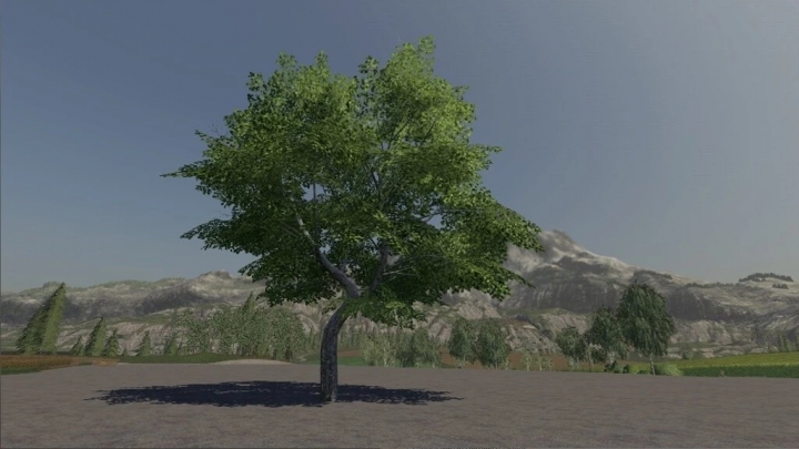 FS19 - Maple Tree Passive Income V1.0