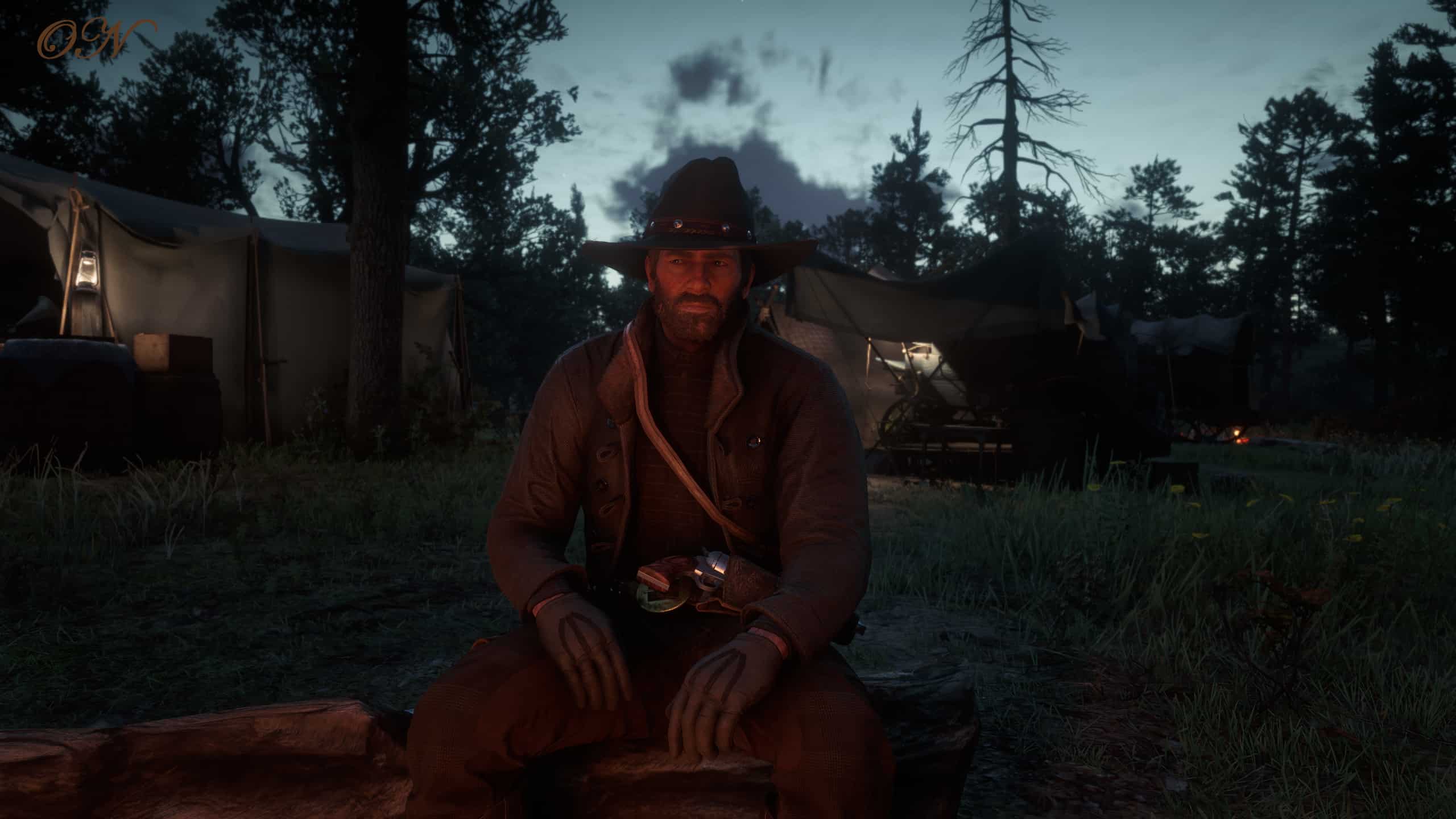 RDR2 My Vision Red Dead Redemption 2