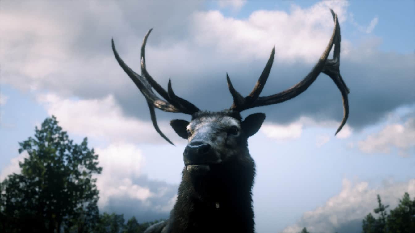 RDR2 - More Perfect Animals
