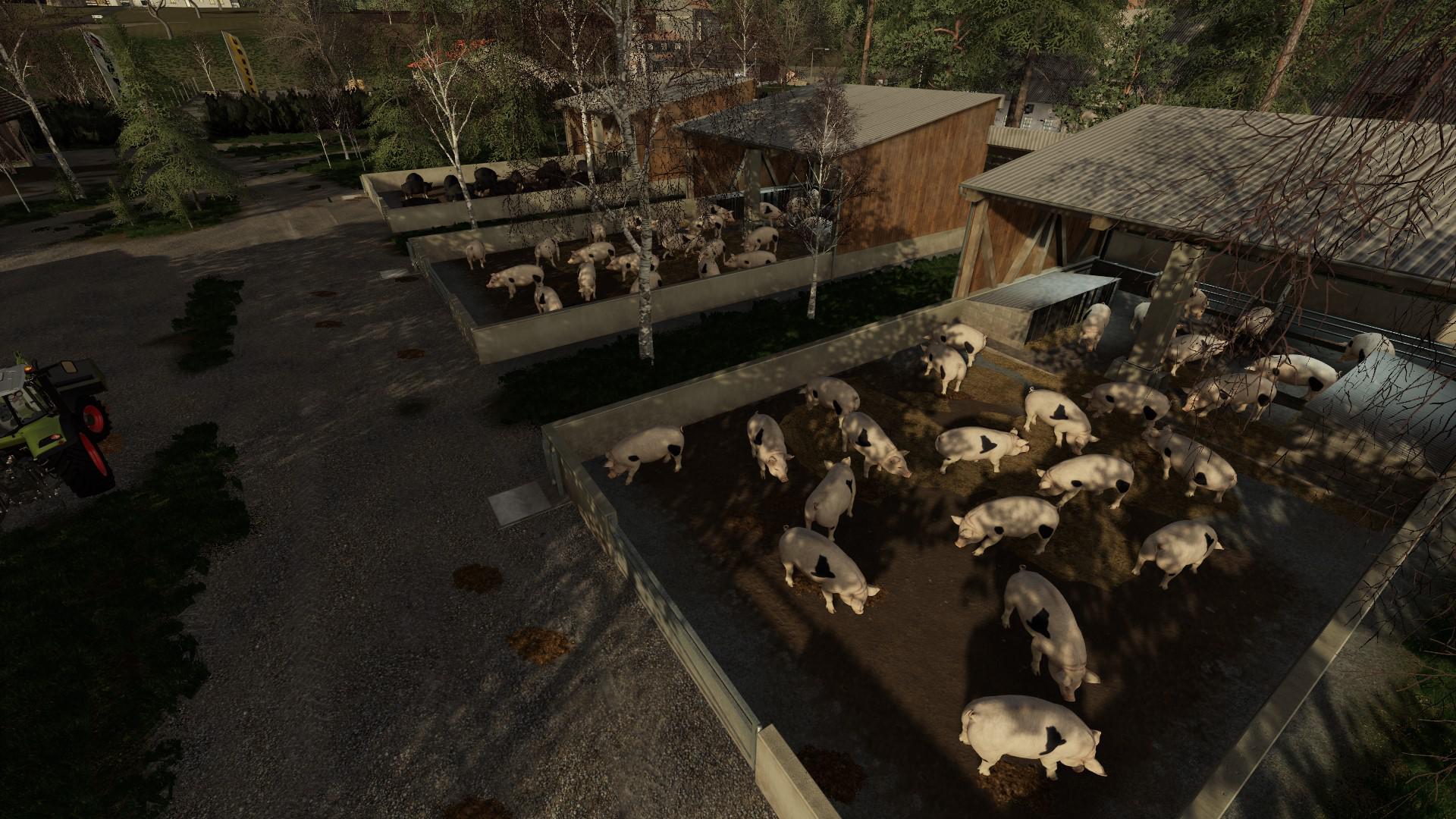FS19 - Outdoor Piglet Husbandry V1.0