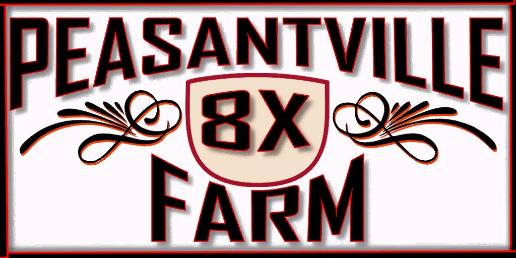 FS19 - AutoDrive Peasantville 2 8x V1.0