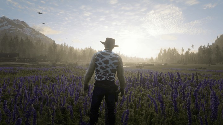 RDR2 - Cow Pattern Vest | Red Dead Redemption 2 | Mods.club