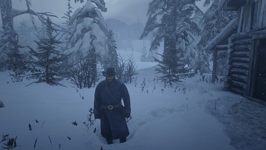 RDR2 - Best Settings for RX 580