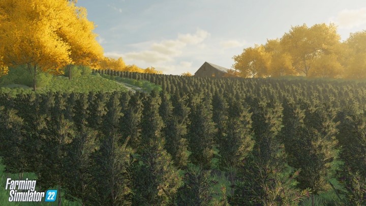 First Look At The New Crops For Fs22 V10 Farming Simulator 22 Modsclub 8421