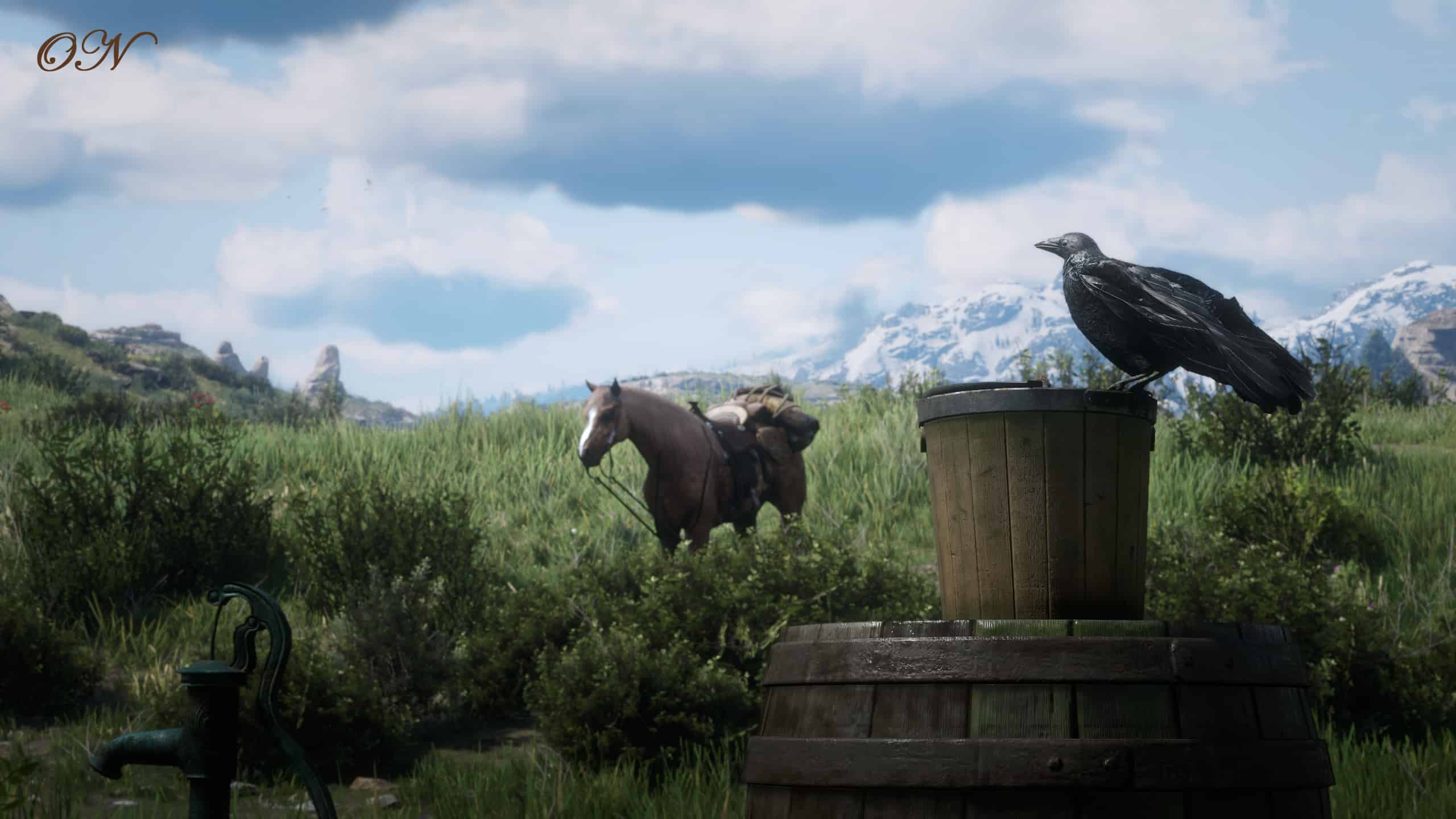 RDR2 My Vision Red Dead Redemption 2