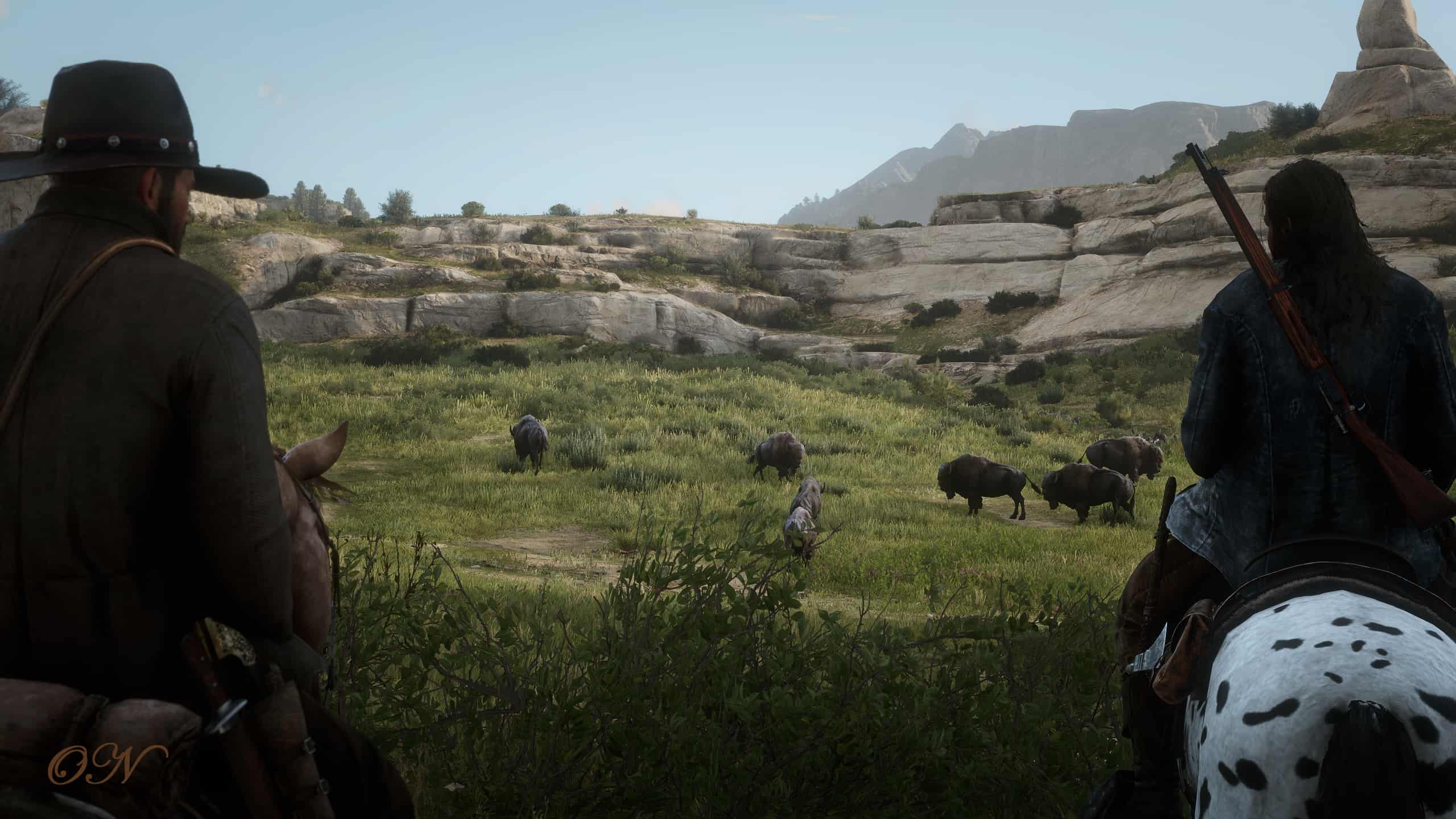 RDR2 My Vision Red Dead Redemption 2