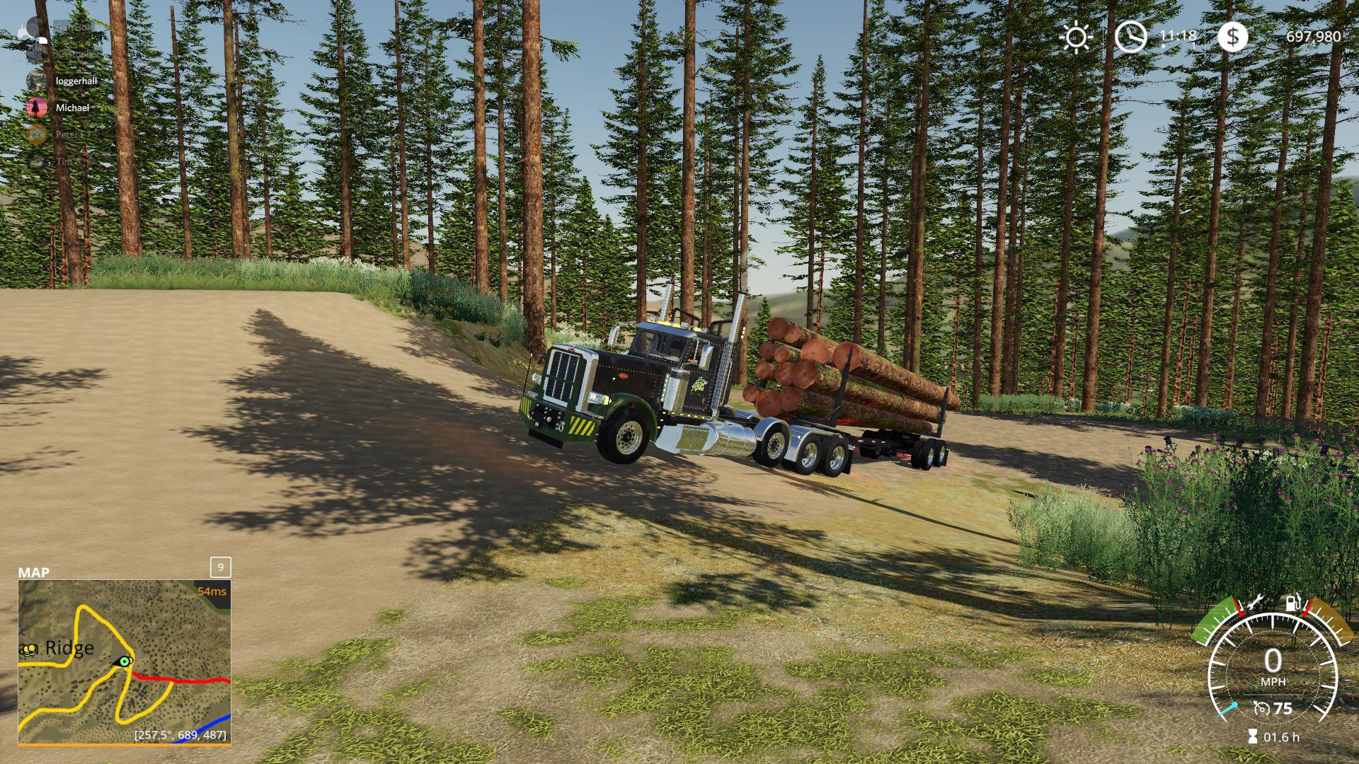 FS19 - Peterbilt 389 Pole Truck V1.0